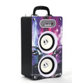 Sistema de alto-falante ativo amplificador HI FI / Manual Portable Speaker